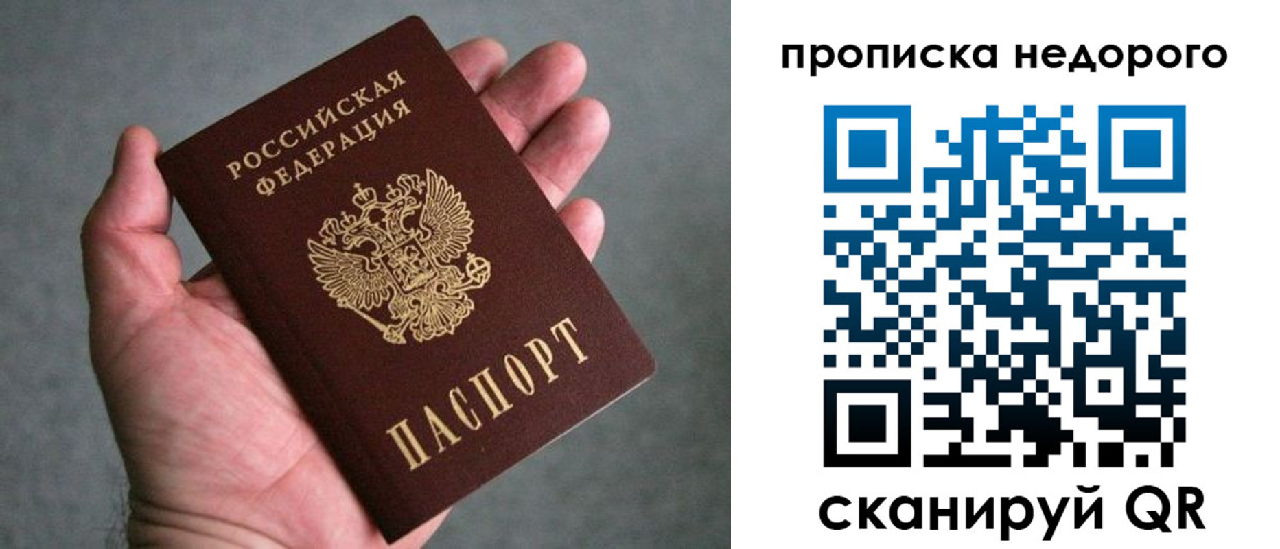 прописка поиск в Железногорске